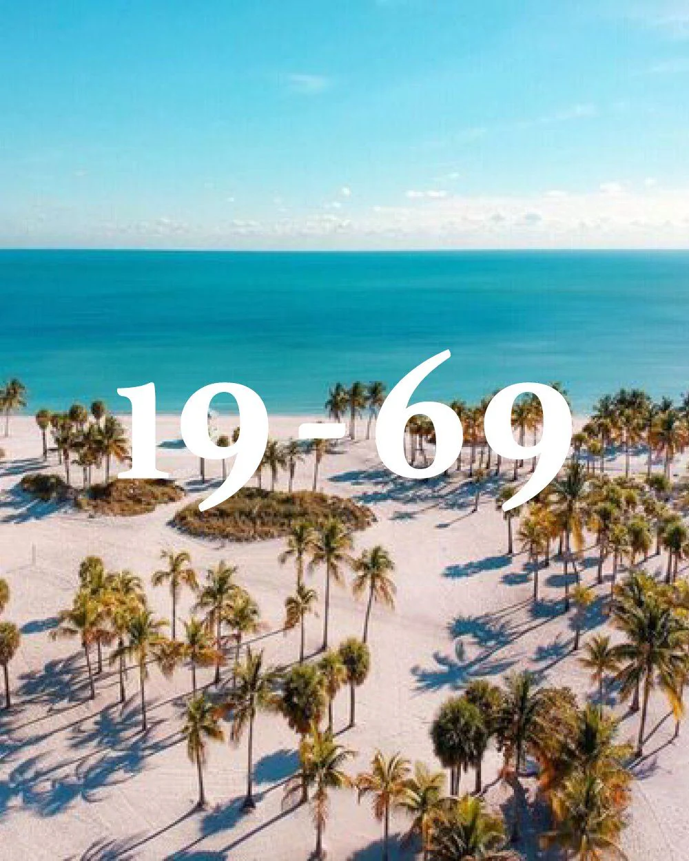 19-69 - Miami Blue EdP - Image 7